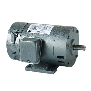 CHANG YIH DC SHUNT WOUND MOTOR 1HP